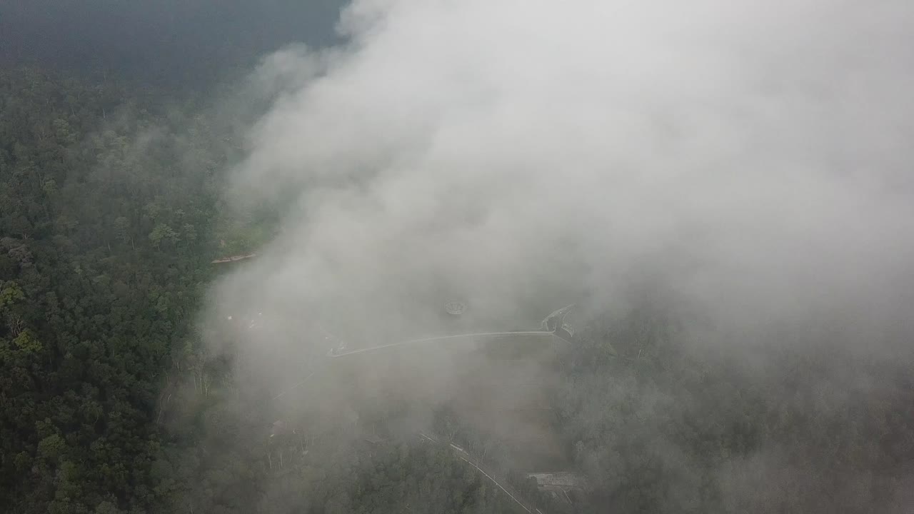 Aerial view of tranquil Ayer Itam dam surrounded by green trees