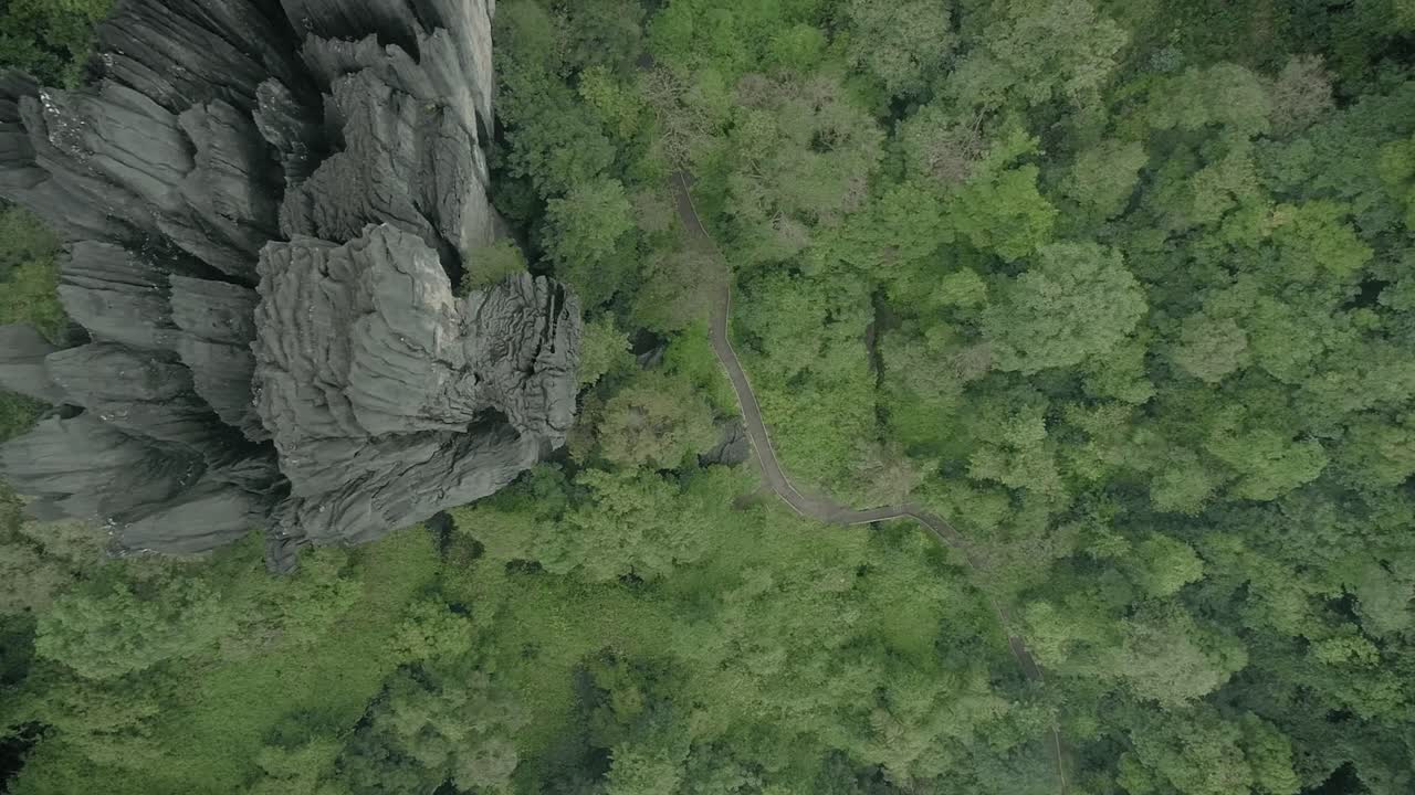 vista aérea de arriba hacia abajo de la carretera en medio de una densa vegetación que conduce a una formación rocosa inusual en las cuevas de yana en karnataka