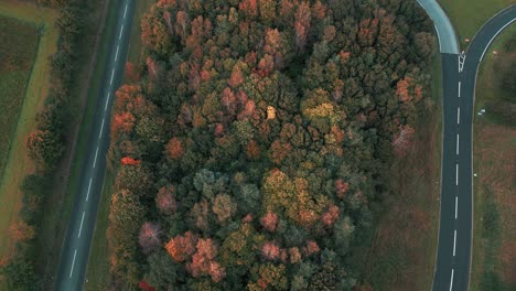 group of autumnal trees amidst roads in croxton near thetford norfolk, united kingdom