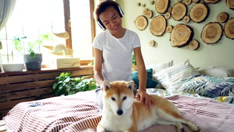 joyful african american teenage girl is listening to music with headphones and fussing her calm shiba inu dog lying on bed and enjoying its owner's love. fun and animals concept.