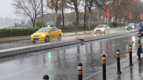 rainy city street scene