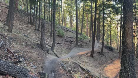 Ciclista-De-Montaña-Rápido-Acelerando-Por-Un-Sendero-Sinuoso-En-Oregon,-EE.UU.