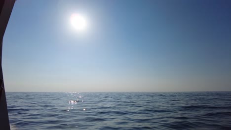 sunlight on the seascape horizon seen while sailing in a ferry at the mediterranean coast of italy