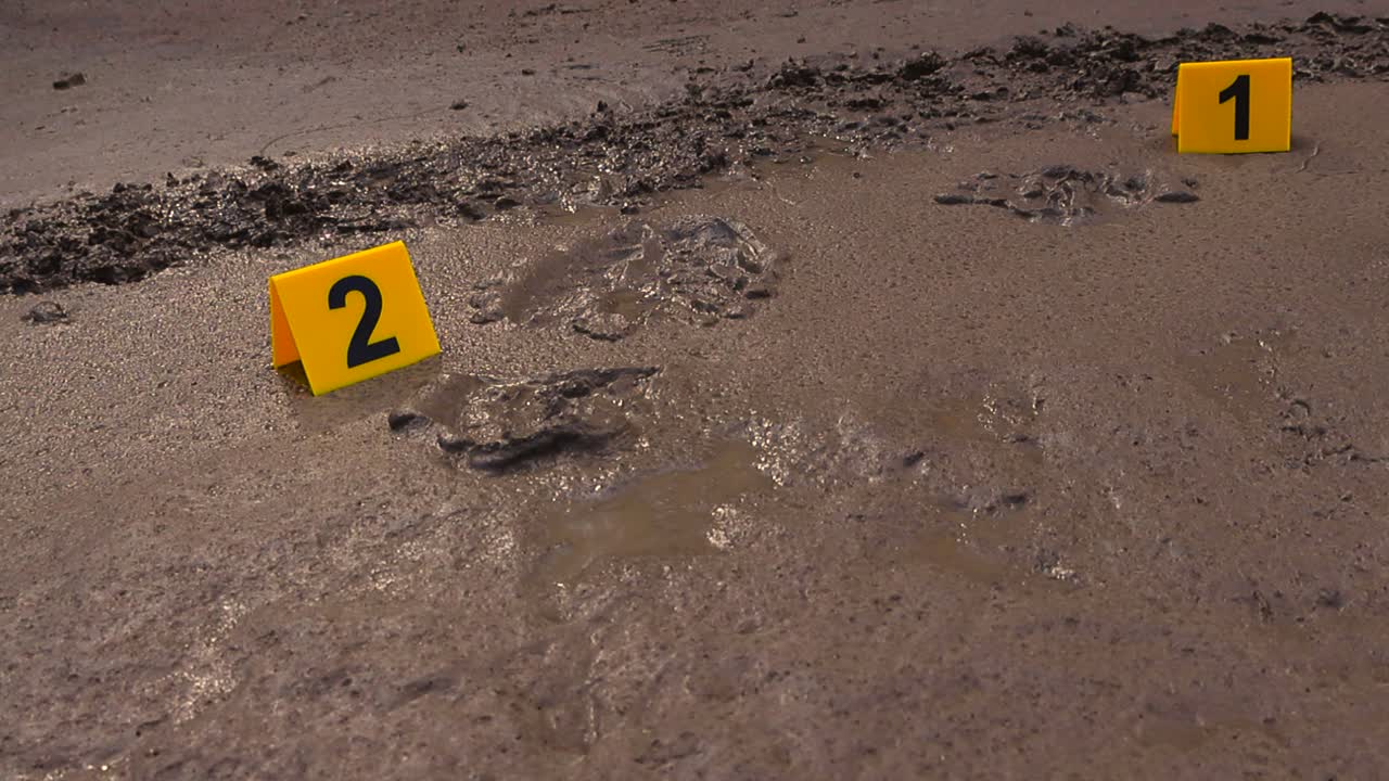Yellow colored and numbered crime markers placed next to criminal suspects muddy footprints outdoors on a road where also tire tracks are visible. Shallow depth of field and bokeh blurry background