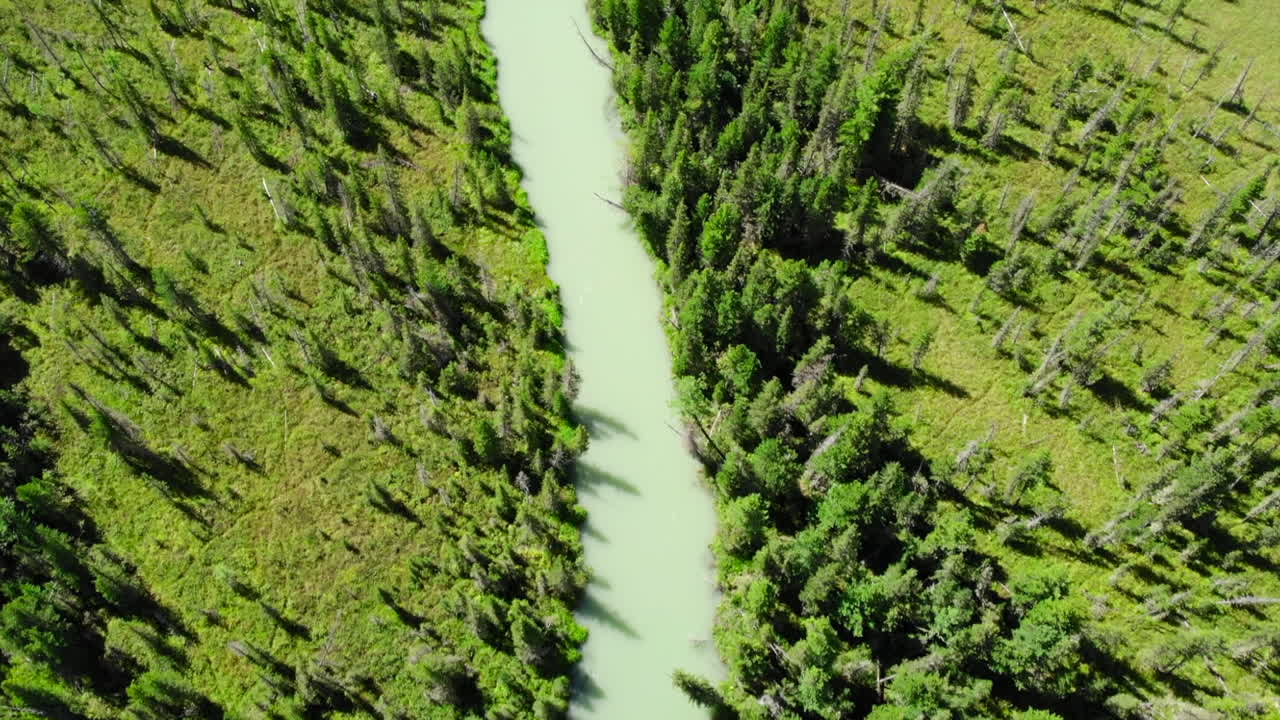 Aerial Views of a Serene Green River Winding Through Forests and Varied Landscapes