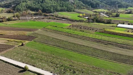 areal footage of rural crop fields on countryside