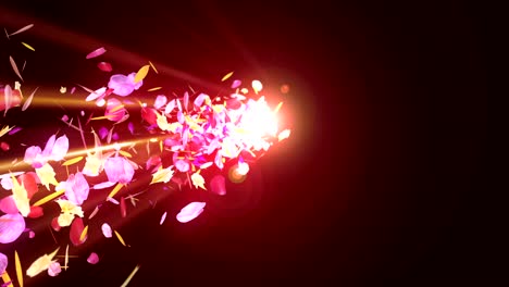 spin of colorful petals,cg animation,particle,loop