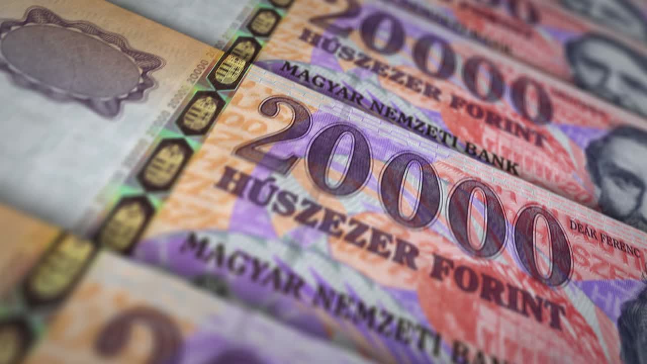 Hungarian Forint money banknote surface loop animation
