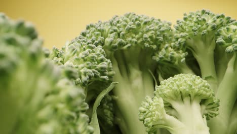 Macro-probe-backward-shot-of-green-broccoli-on-yellow-background