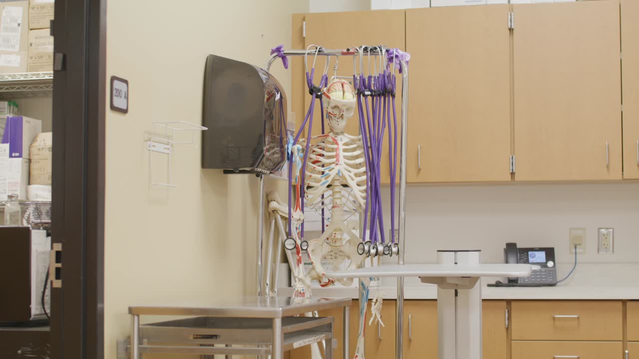 Plastic skeleton in a medical training center with stable video.