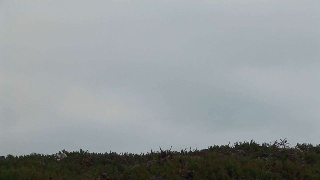 한 남자가 수레바퀴를 돌다