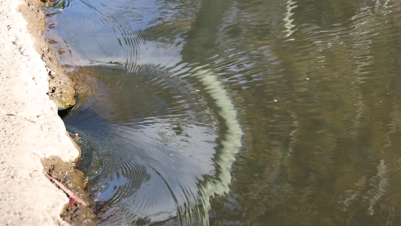 숲의 하천에서 흐르는 물