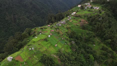 drone view small village, forest after rain, madeira, portugal