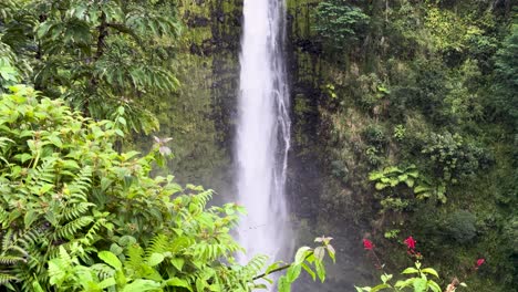 hi'ilawe falls, the tallest waterfall in hawaii