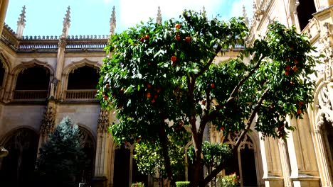 the monastery of san juan de los reyes in toledo, spain.