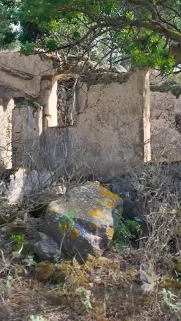 ruined building in a rural setting