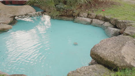 tranquil pond with natural rock edges