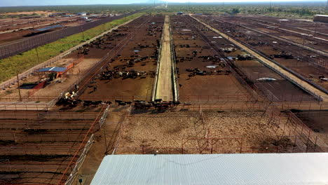 cattle ranching in the borderlands: drone footage