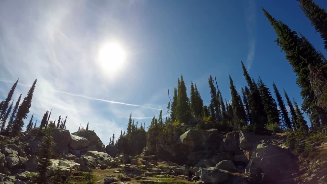 горы и деревья в солнечный день 4k