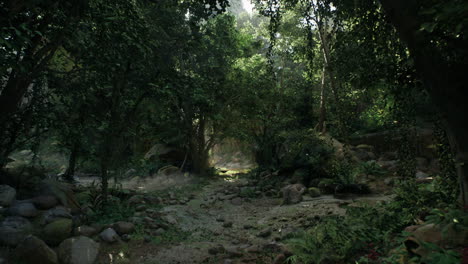 un camino de selva verde y exuberante
