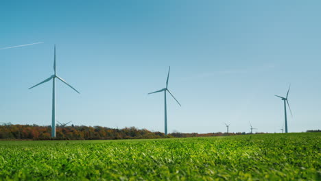 wind turbines in a field