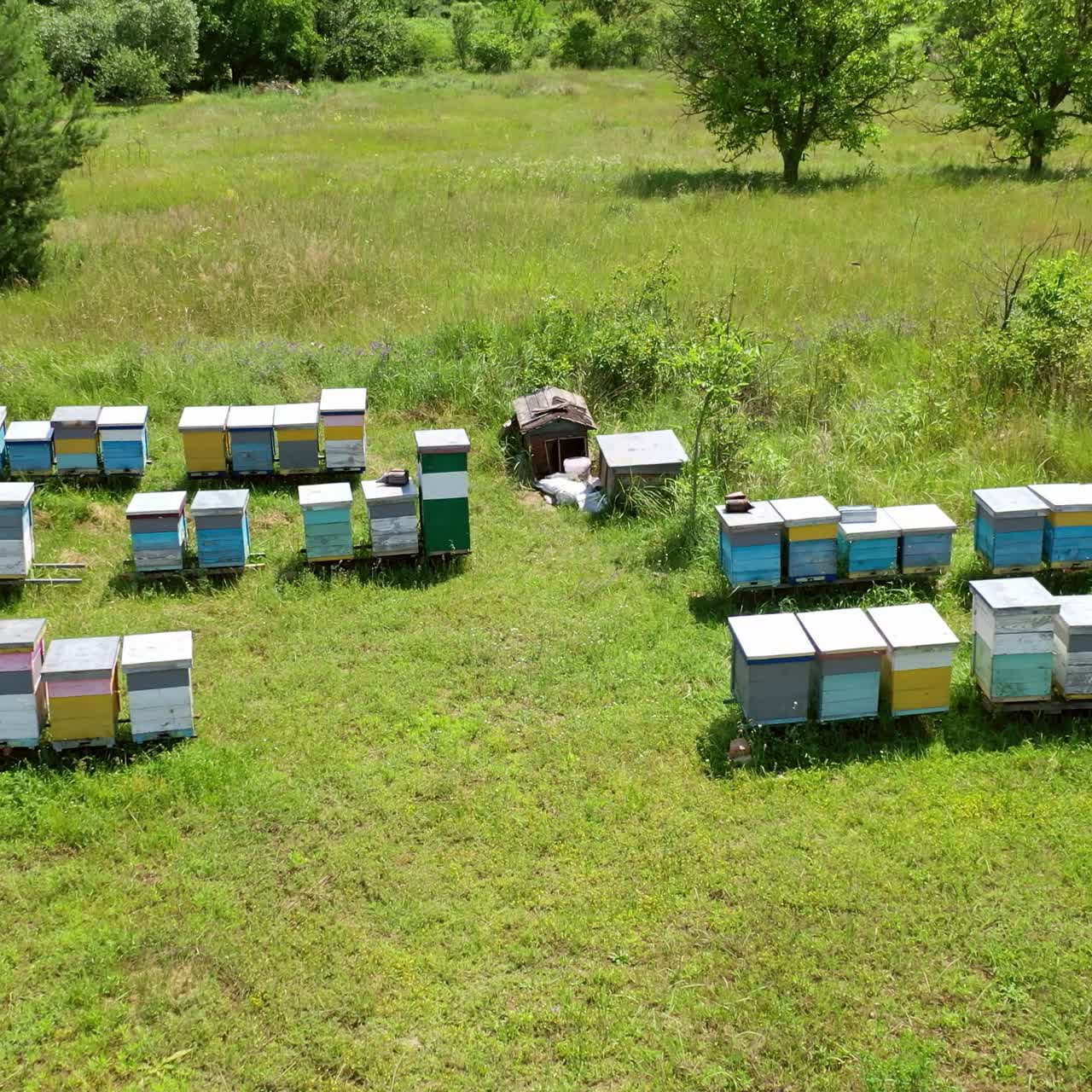Bee houses in the garden. Wooden hives stand on green grass on apiary in summer. Organic honey production. Aerial view.
