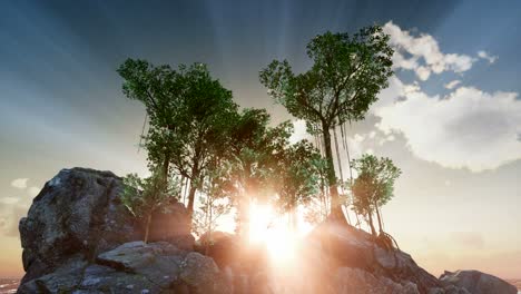 Rocky-Island-with-Trees-as-Ocean