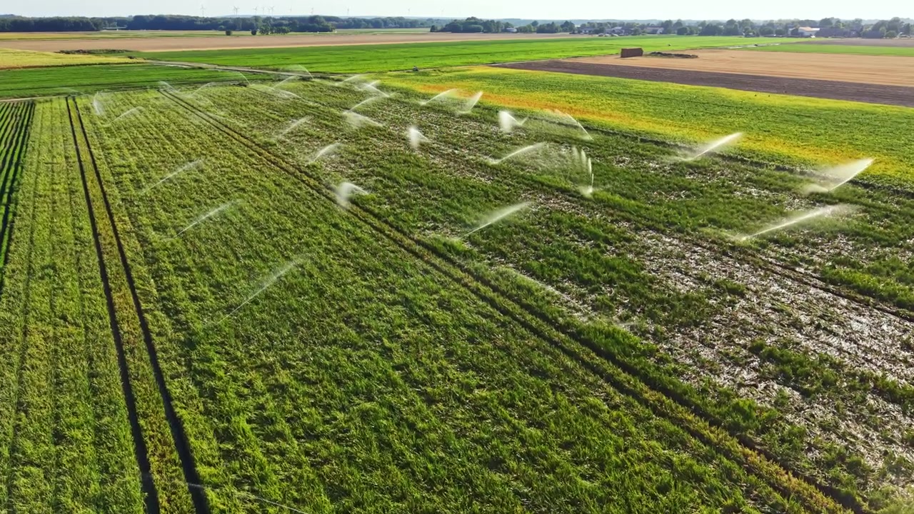 Vue large d'un champ arrosé par des systèmes d'irrigation par une journée lumineuse à la campagne