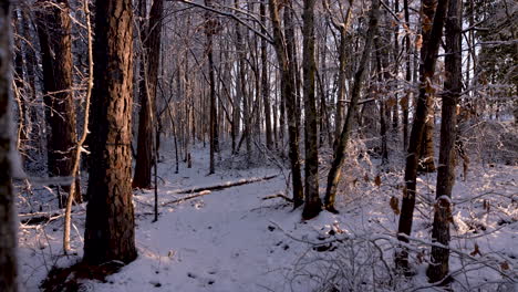 Plano-General-Del-Bosque-Nevado