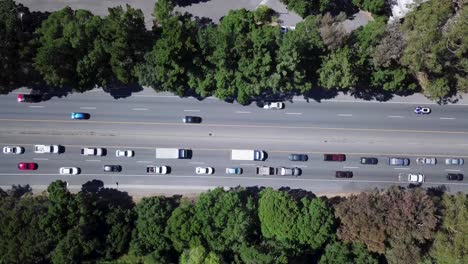 highway traffic four lanes going in opposite directions surrounded by trees and suburb houses