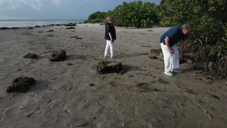 couple-in-their-golden-years-hunts-for-shells-and-other-fossils-on-the-beach-in-Florida