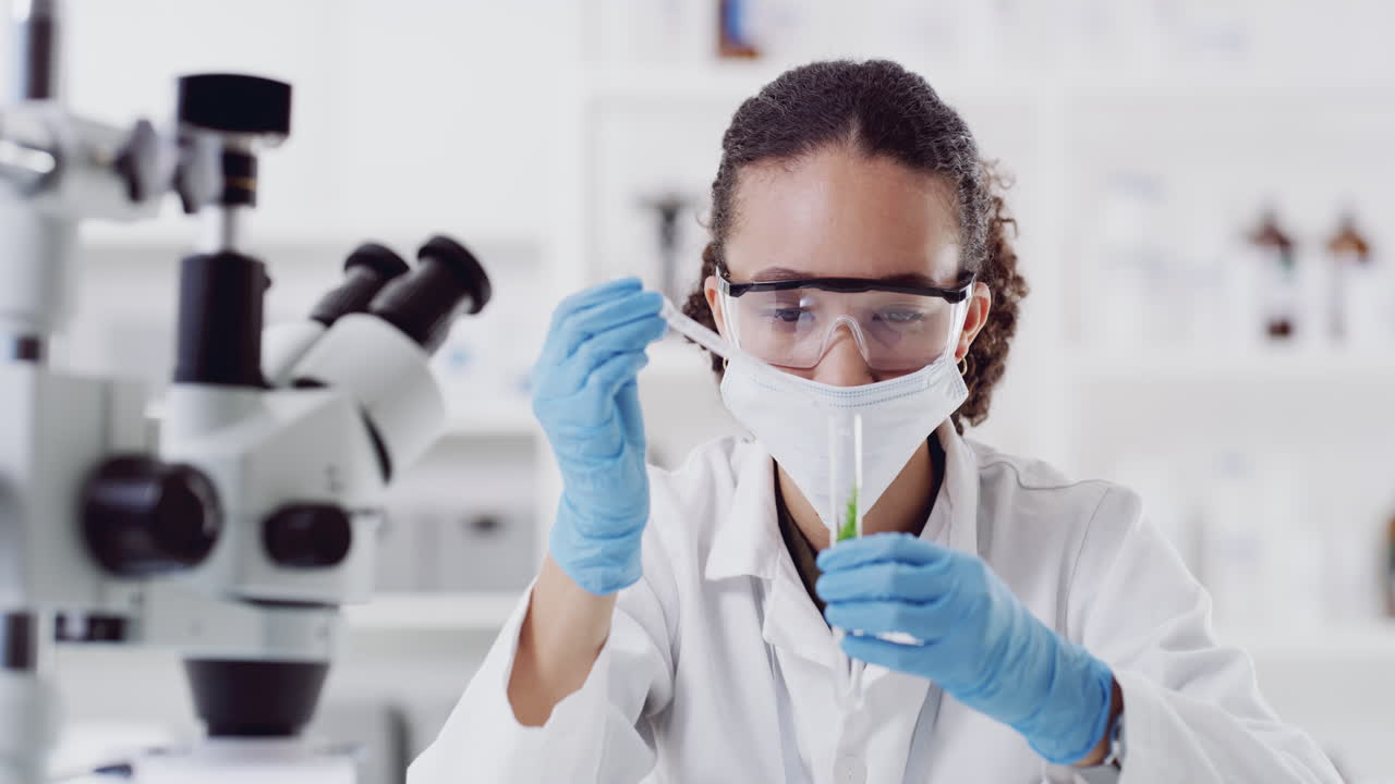 aprendes algo nuevo con cada experimento.