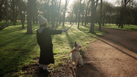 Gut-Erzogener-Golden-Retriever-Hund-Sitzt-Geduldig-Und-Wartet-Darauf,-Dass-Der-Ball-Geworfen-Wird