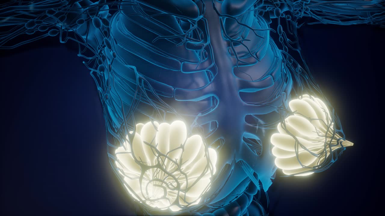 눈에 보이는 빛을 가진 인간의 몸 유방선