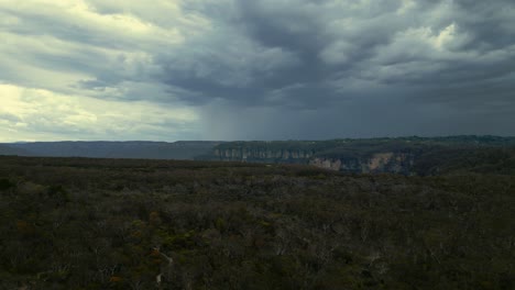 Blue-Mountains-National-Park-Dschungel-Regenwald-Gummibaum-Wald-In-Der-Nähe-Von-Sydney,-Australien