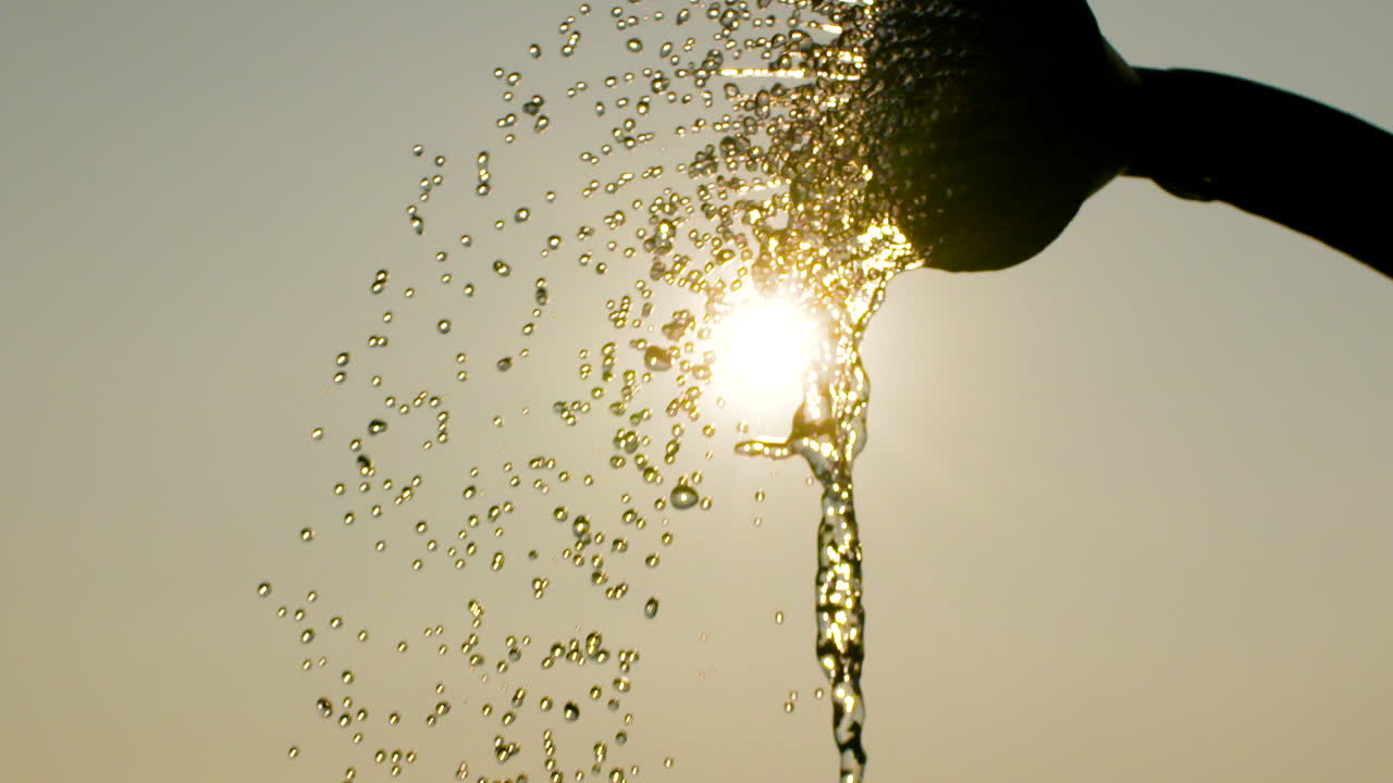 농장에서 식물에 물을 주는 여성 농부 5