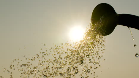 female farmer watering plants at farm 5