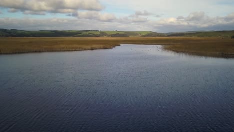 drone gliding over marsh land by great ocean road melbourne twelve apostles with birds australia by taylor brant film