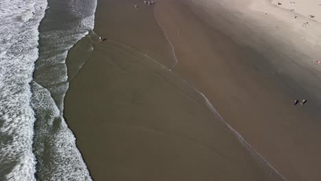 aerial footage of venice beach. pacific ocean