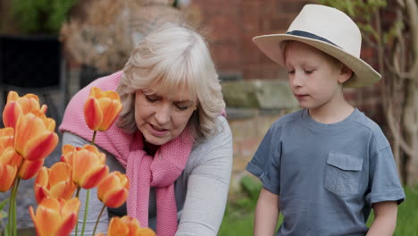 grandmother and grandson gardening together
