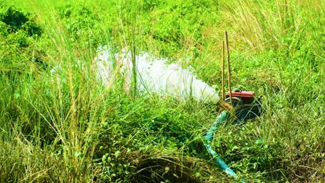static shot of irrigation water pump commonly used in india or bangladesh, south asia