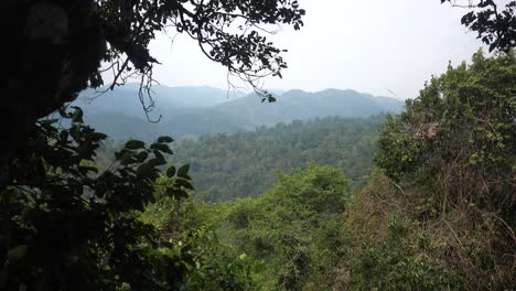 wideshot of laos green jungle during gibbon experience