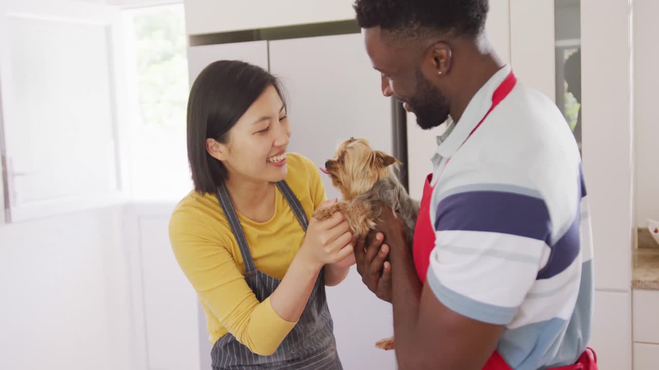 pareja feliz diversa usando delantales y acariciando al perro en la cocina