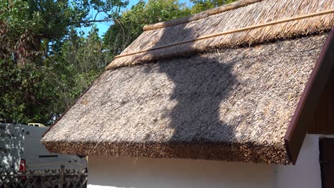 thatched roof house showcasing traditional architecture in a countryside scene