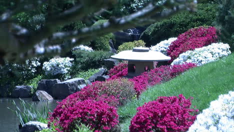 japanese snow lantern and azalea bushes in bloom, bordering a pond