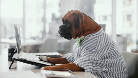 dog working on a laptop in an office