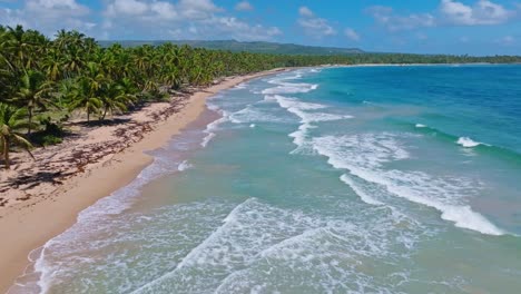 Ascending-aerial-backwards-shot-of-beautiful-waves-of-Caribbean-Sea-reaching-paradise-with-sandy-beach-and-many-palm-trees-during-sunny-day---Dominican-Republic-Island