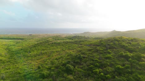 Golden-hour-misty-glow-spread-across-vibrant-emerald-green-hills-on-Caribbean-coastal-island,-mystic-horizon-aerial-dolly