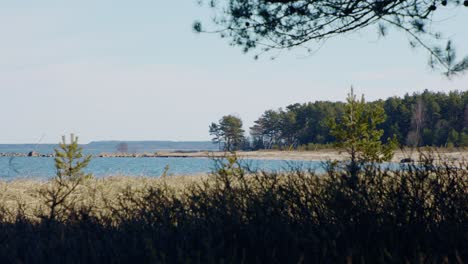 la costa nórdica