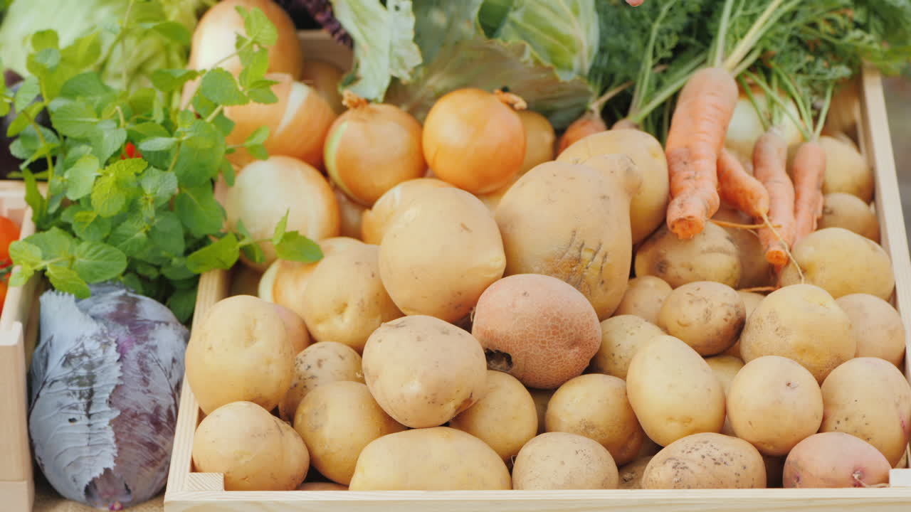 las manos de los granjeros sostienen dos pimientos rojos dulces grandes sobre un fondo de un mostrador con verduras